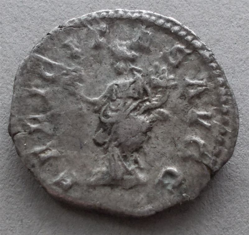 Septimius-Severus-Denarius